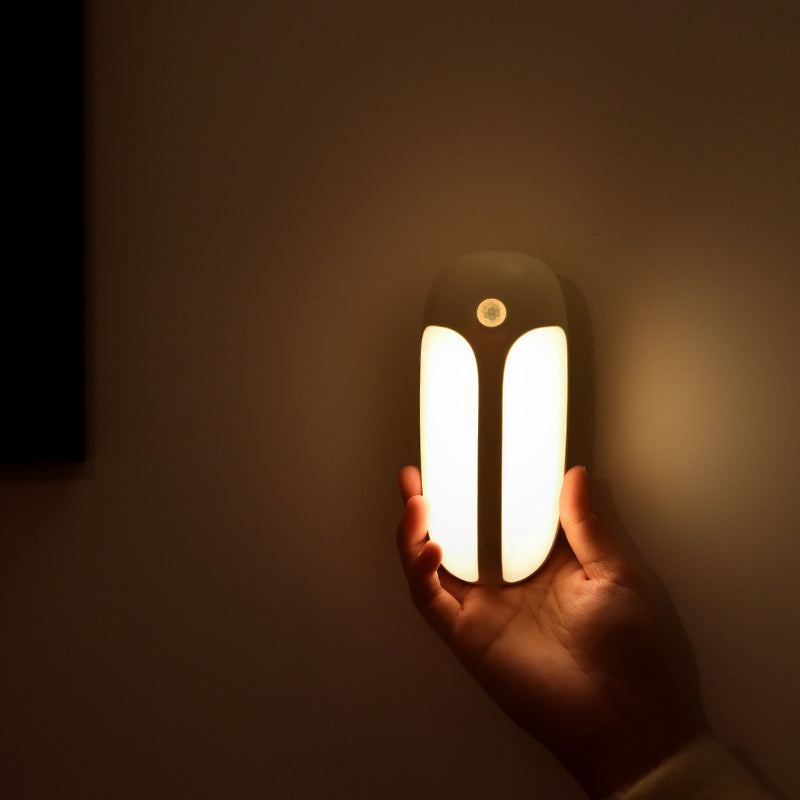 Motion Sensor Light